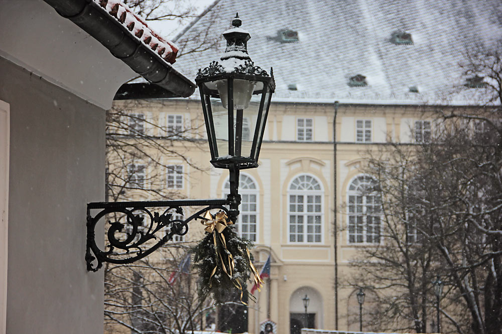 img_7942