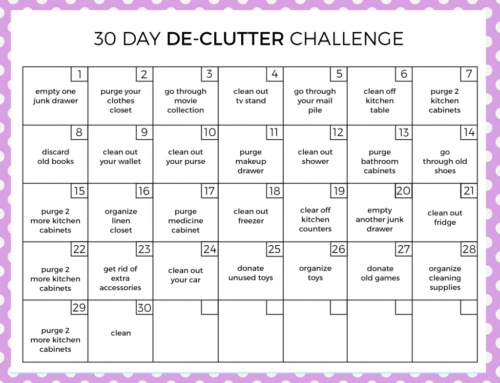 30 Day DeClutter Challenge