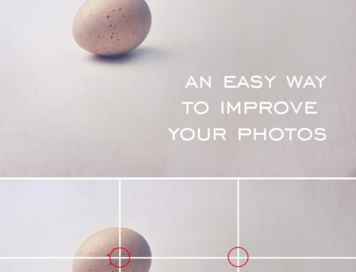 Understanding the Rule of Thirds in Photography