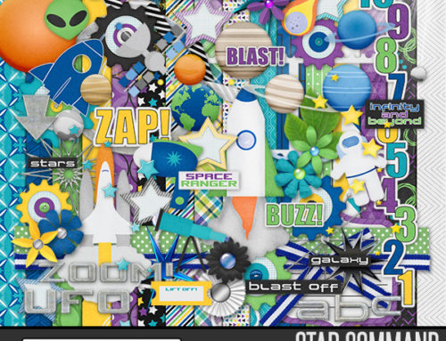 Star Command by Featured Designer Connie Prince