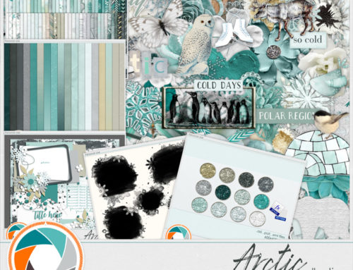 ARCTIC