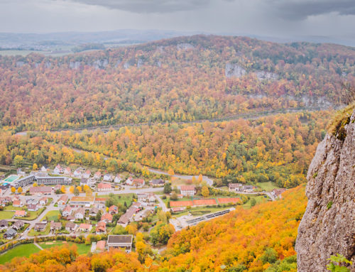 Fall Colors + Castles