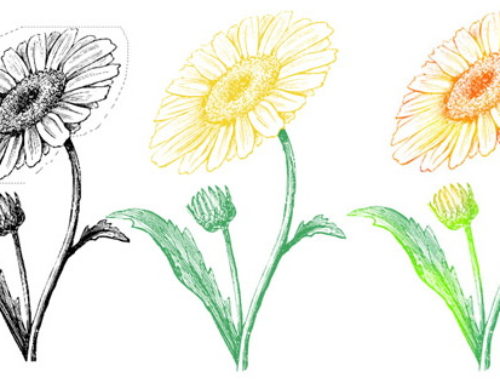 How to Color Black Stamps