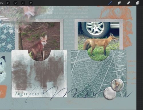 Photo Pockets + Custom Shadows + Clone Tool in Procreate