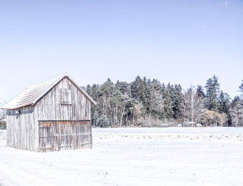 Below Zero