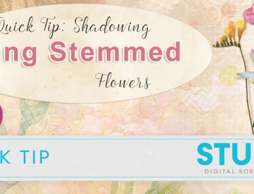 Quick Tip: Long-Stemmed Flowers