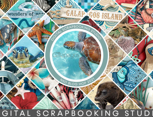 iNSD 2021 Blog Hop
